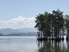 -1点点(龙湖金楠天街店)