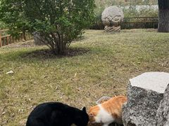 -燕郊植物园