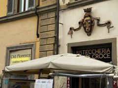 -圣母百花大教堂穹顶