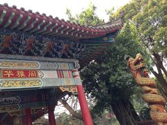 -华雅花园大酒店