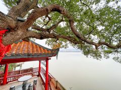-仓山金山寺