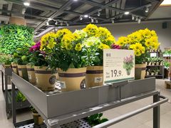 -鹿岛会员店 (龙湖三千集天街店)