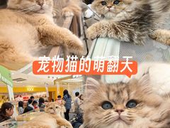 -万达广场(巴南店)