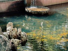 -宁波市保国寺古建筑博物馆