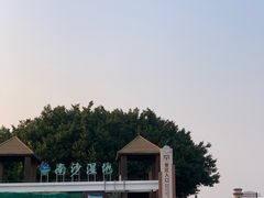 -大湾区中央湿地公园-十九涌