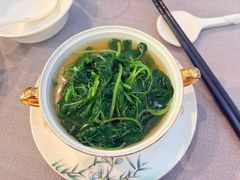 -润苑(徐汇店)