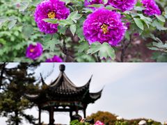 -尚湖风景区