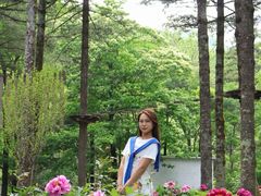 -洛阳白云山景区