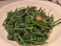 -曼格纳·曼芯馆(杨浦店)