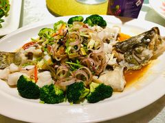 清蒸龙趸鱼-大树头森林餐厅(番禺广场店)