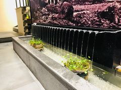 -鑫阿强海鲜大排档·老厦门特色菜(中山路店)