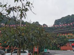 -枇杷园食为鲜火锅(南山店)