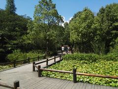 -天目湖山水园