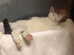 -玲珑汤泉生活会馆(花桥店)