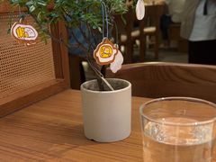 -CURRY YA 熟成咖哩專門店(深圳湾万象城店)