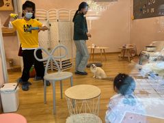 -猫咪派对(江南西店)