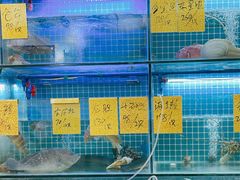 -聪辉同安老美食饭店(大元路店)