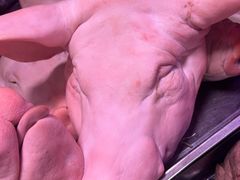 -香坊横道中心市场