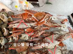 -拉萨圣地天堂洲际大饭店-自助餐厅