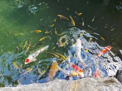 -新荣记(西溪湿地店)