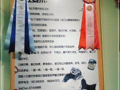 -猫十亿·布偶金渐层·曼基康矮脚猫舍(青年路店)