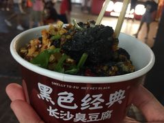 -黑色经典臭豆腐·湖南特产(坡子街店)
