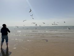 -老虎石海上公园