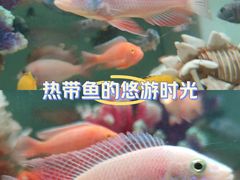 -金三角花鸟鱼综合市场-地面停车场