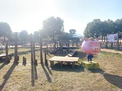 -田园东方蜜桃村的田野营地