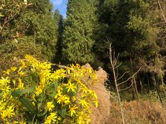 -笔架山