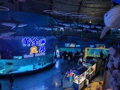 -烟台海昌鲸鲨海洋公园