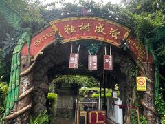 -瑞丽独树成林风景区