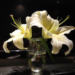 -奈瑞儿美颜美养SPA