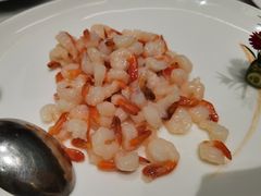 -蝶园·装修中(BFC外滩金融中心店)