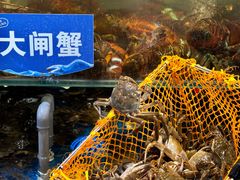 -亚马逊蒸汽活海鲜自助(LCM置汇旭辉广场店)