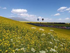 -青海湖国家重点风景名胜区
