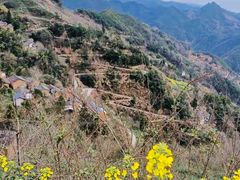 -新安江山水画廊风景区