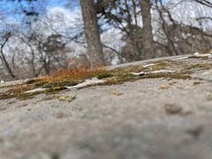 -沈阳市东陵公园