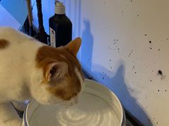 -恩宁刘福记(东华东路店)