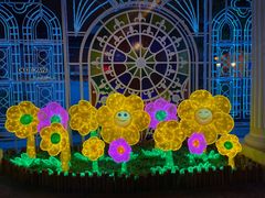 -我的意大利厨房