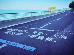 -杨梅坑