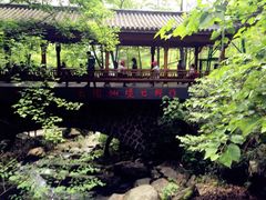 -藏龙百瀑风景区