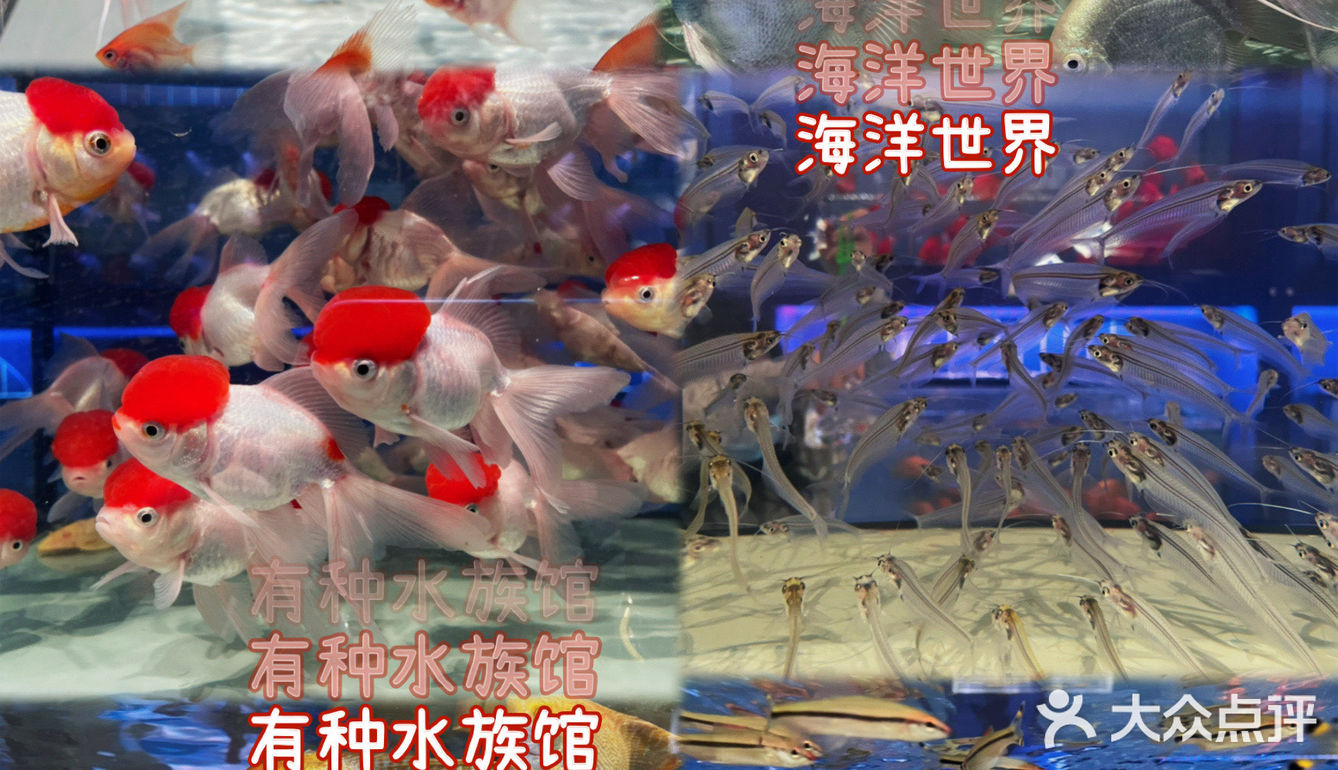 有种生物｜0⃣️抵抗力的生物店，有种就来