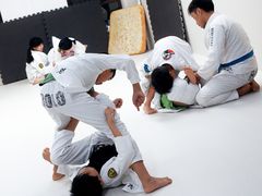 -菠萝格斗巴西柔术训练馆