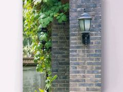 -三忘湖 SWANSEEN(柳荫公园店)