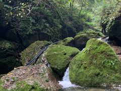 景点-青城后山