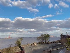 -上海滨江森林公园