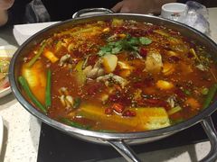 -靓蛙馆