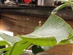 -苏浙徽·农家大院(吴江中山南路店)