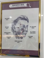 -丰联丽格医疗美容·联合丽格眼整形中心